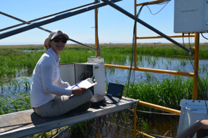 Patty Oikawa checking instrumentation at Twitchell East End Wetland (US-Tw4), September 2014