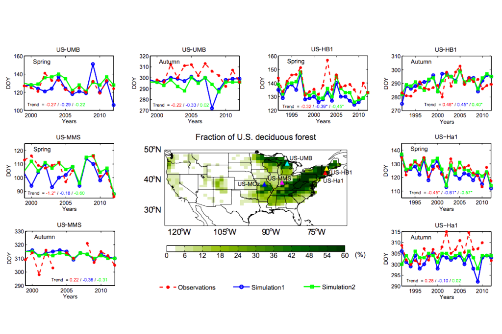 Simulation of spring and autumn phenology at four US deciduous broadleaf forest (DBF) sites.