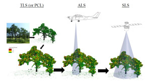 A LiDAR multiscale design strategy allowing calibration and validation of products derived from airborne and spaceflight LiDAR products
