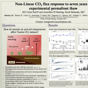 Clip from poster presented by Mauritz et al: Non-linear CO2 flux response to seven years of experimentally induced permafrost thaw