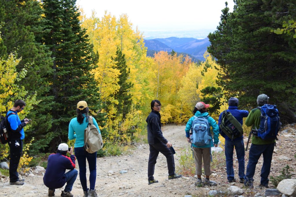AmeriFlux Data-Tech Workshop participants hike down from the tour of the Niwot Ridge flux towers. Colorado fall colors! September 21, 2016