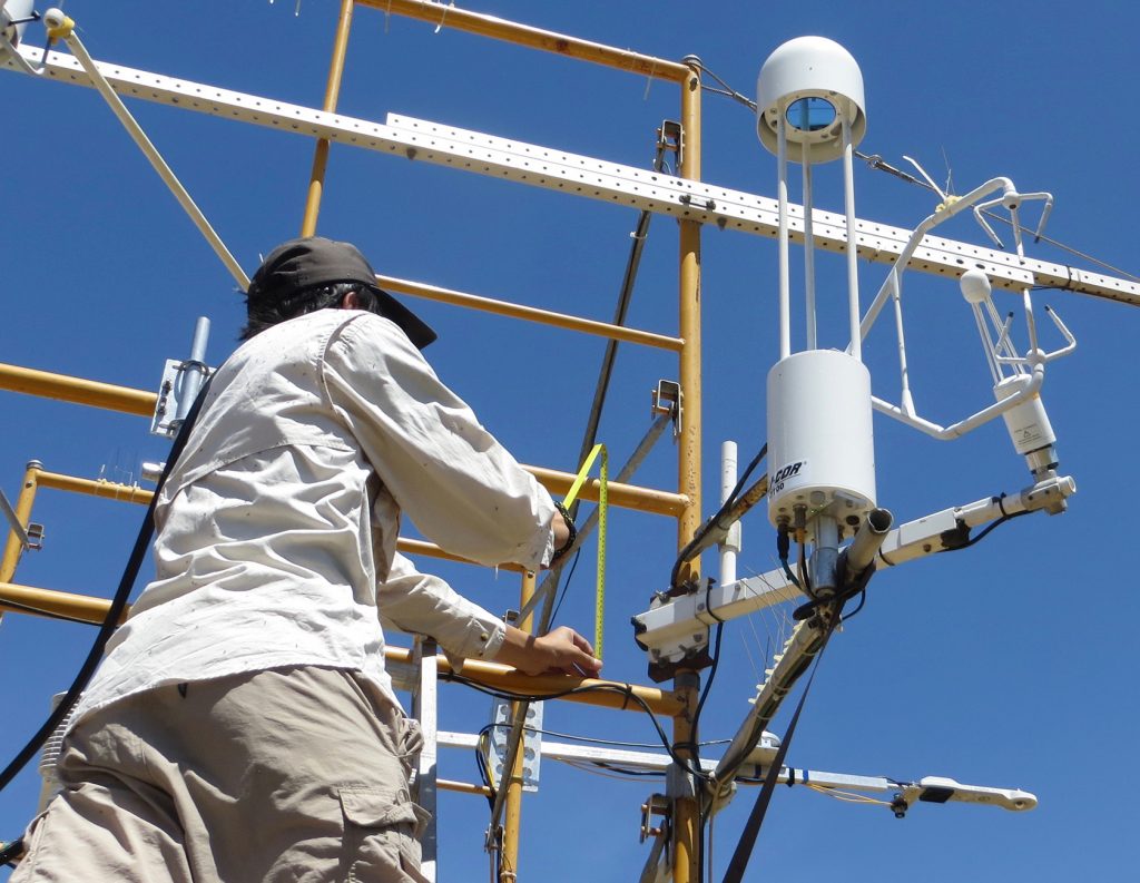 AMP team member is measuring instrument heights at flux site US-Srr.
