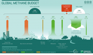 Global Methane Budget, estimated emissions by source. From Global Carbon Project