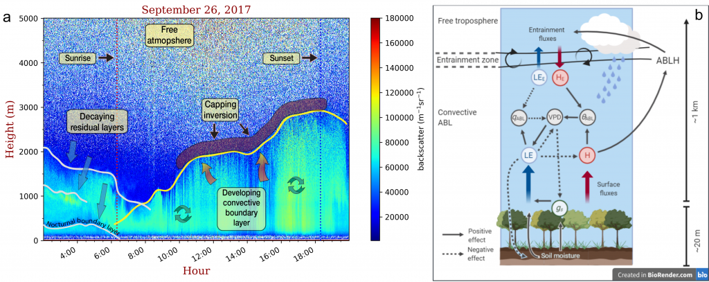 left: day/night changes in backscatter profile. Right: schematic of different fluxes interacting.