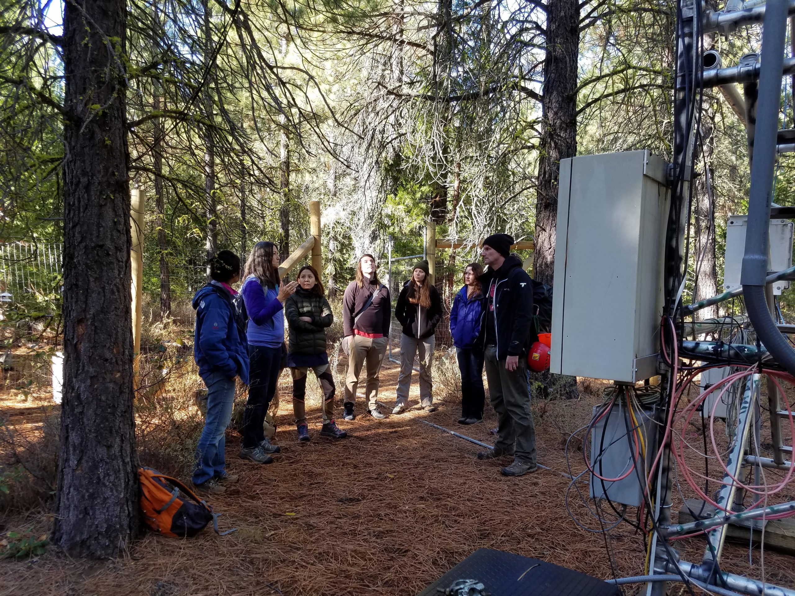 Group of students talking around the pine AmeriFlux site, 2016, Beverly Law
