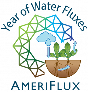 Year of Water Fluxes logo