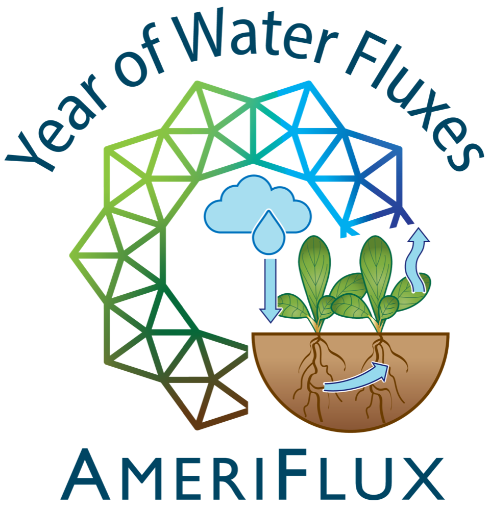 Year of Water Fluxes logo