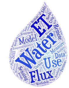 word cloud of community ideas for the Year of Water