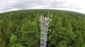 picture of flux tower in Howland Forest with Holly Hughes on top