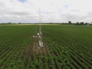 Photo of a flux tower with instruments installed at roughly 10 ft height, surrounded by a crop field in lush green foliage