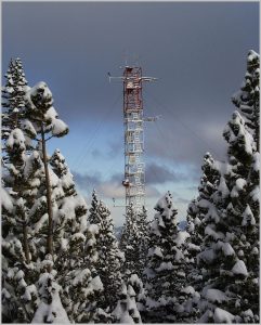 tower structure seen from afar, framed by snow-topped pine trees.
