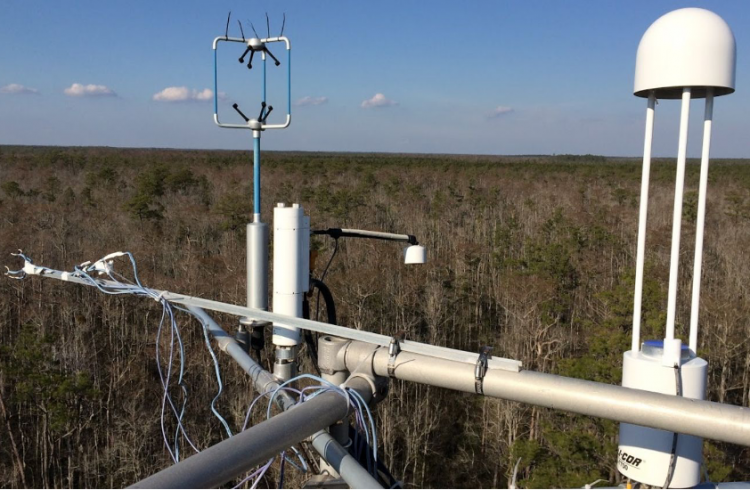 Eddy covariance set-up above a forested wetland at the Alligator River National Wildlife Refuge. Credit: Tree Physiology and Ecosystem Science Lab.