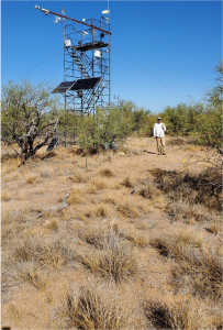 man standing next to flux tower on shrubby grassland