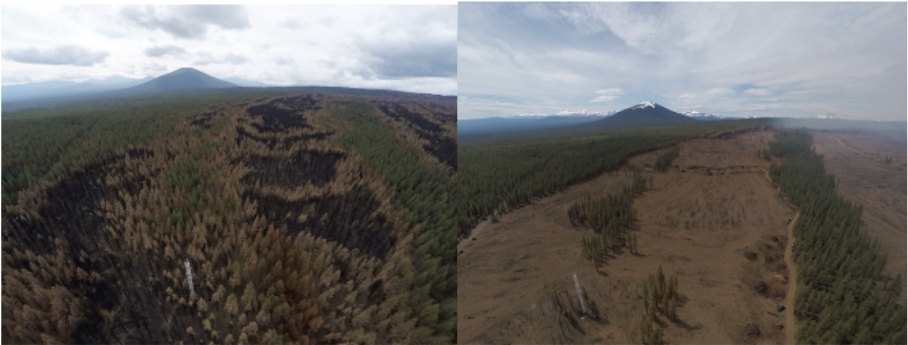 side-by-side photos of the US-Me2 tower and surrounding forest. Left photo shows the site after wildfire in 2020, with patches of blackened forest, and the right side shows the same site after salvage logging, with even larger patches of bare ground.