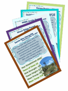 array of tower flux cards spread